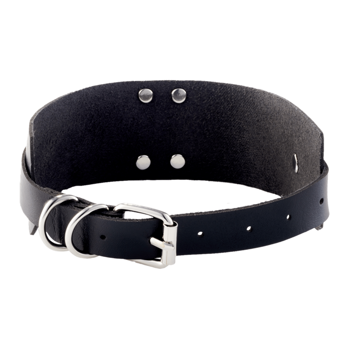 o-ring-collar-Schwarz-Silber-2