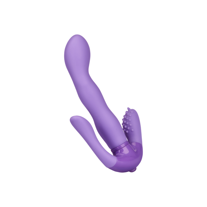 proposition-g-17-cm-Paars-1