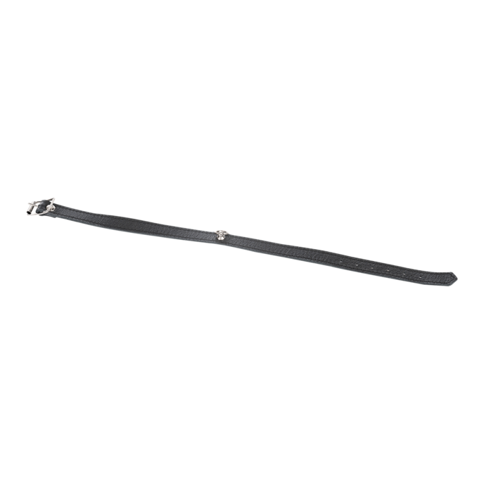schmales-leder-halsband-Schwarz-3