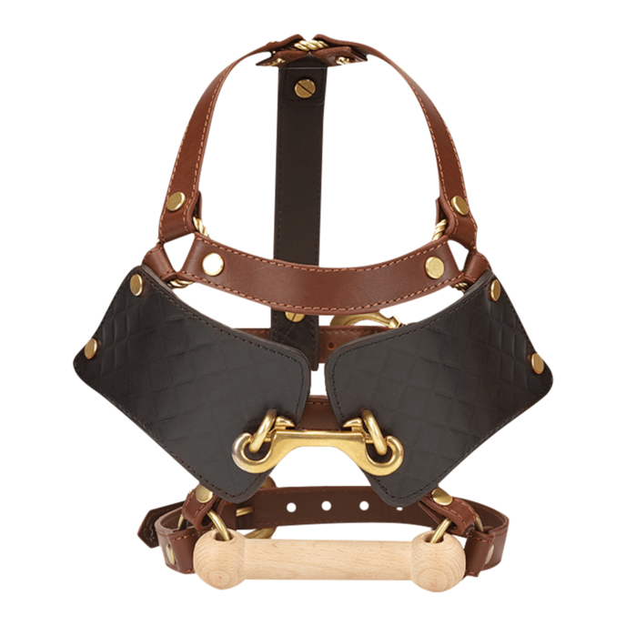 hoofdmasker-met-houten-knevel-Braun-Goud-Schwarz-1