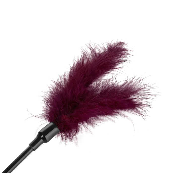 small-feather-tickler-Lila-Schwarz-2