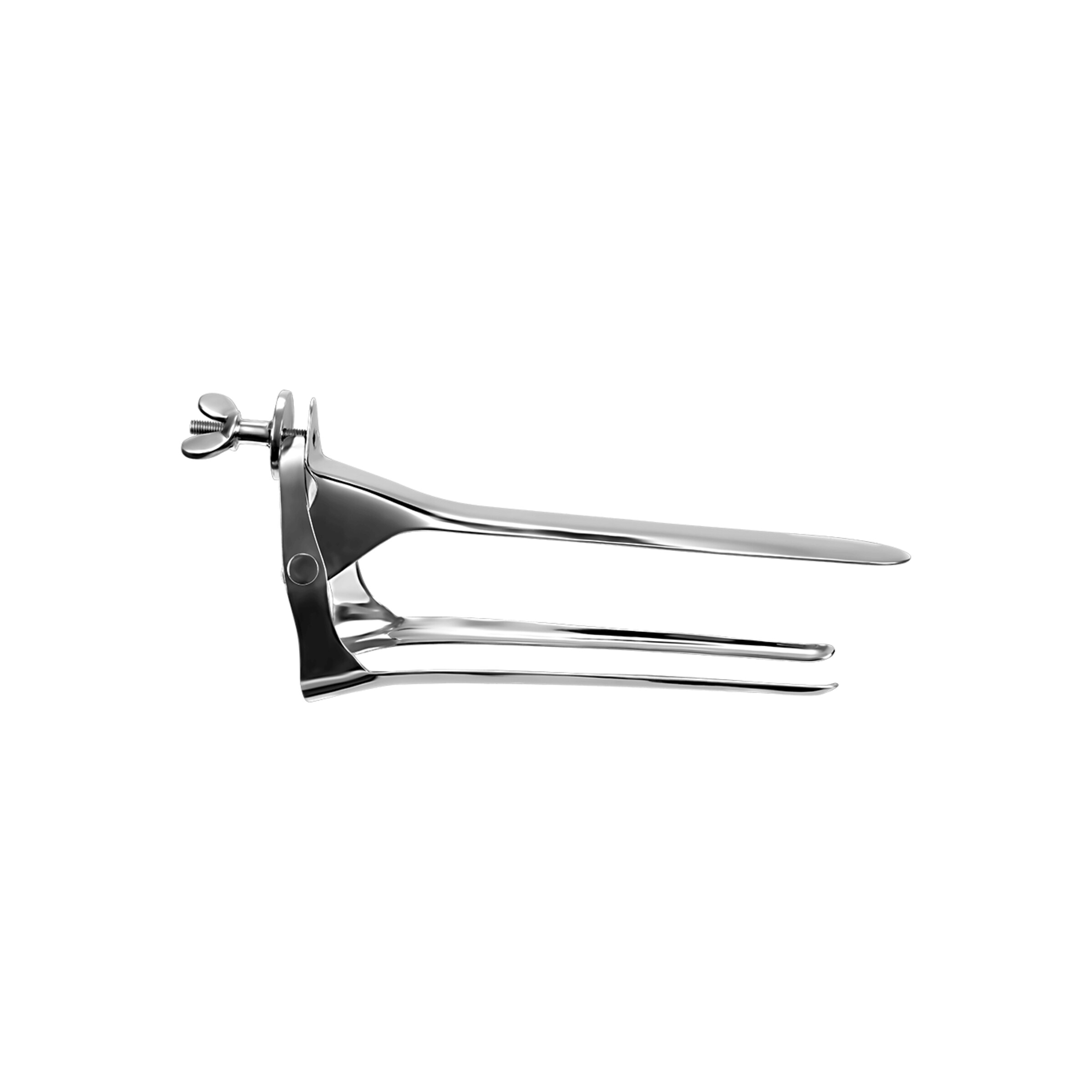 extra-groot-roestvrijstalen-speculum-Zilver-2