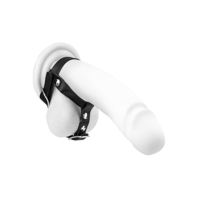 penis--en-hodengurt-van-leer-Zwart-1