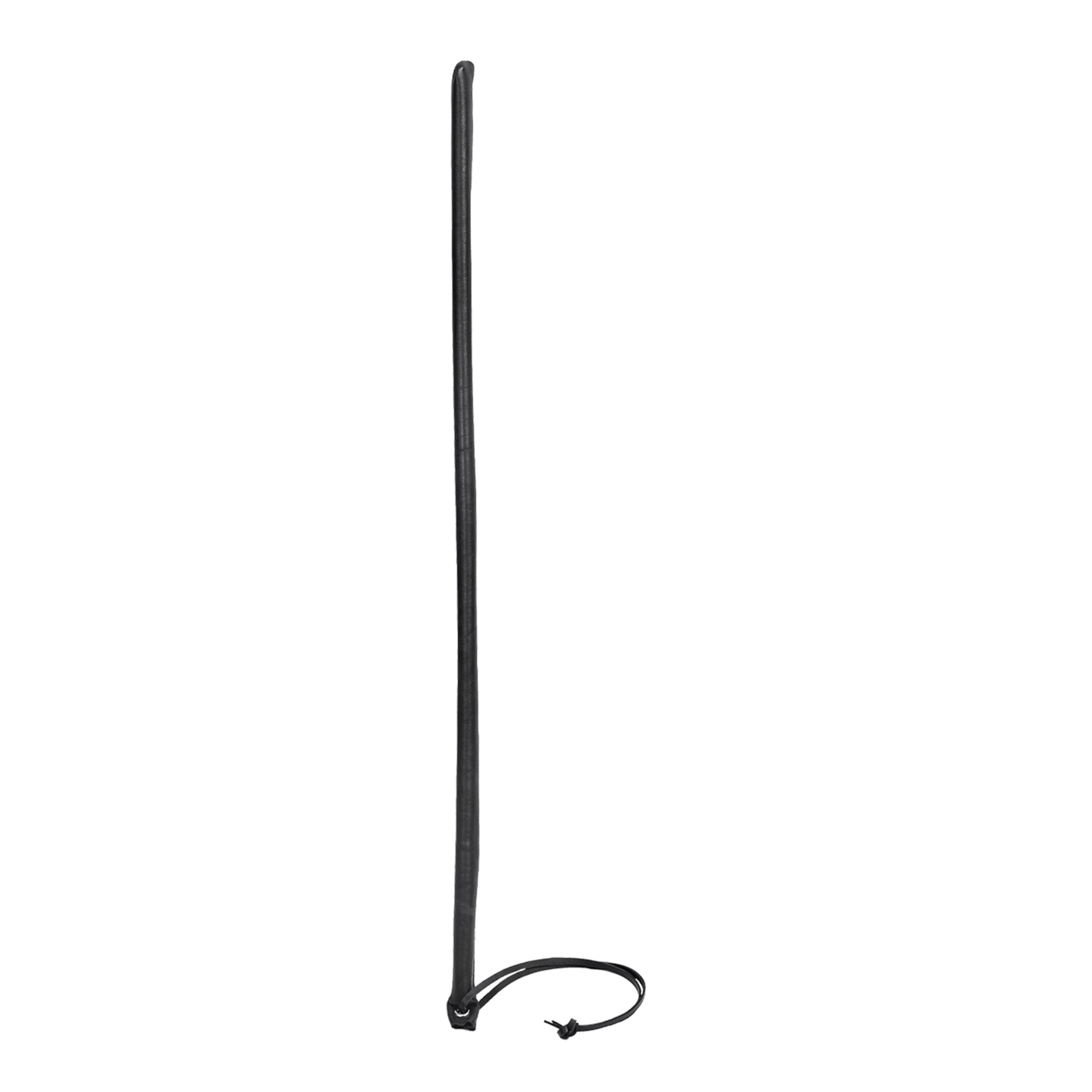 fine-cravache-Noir-2