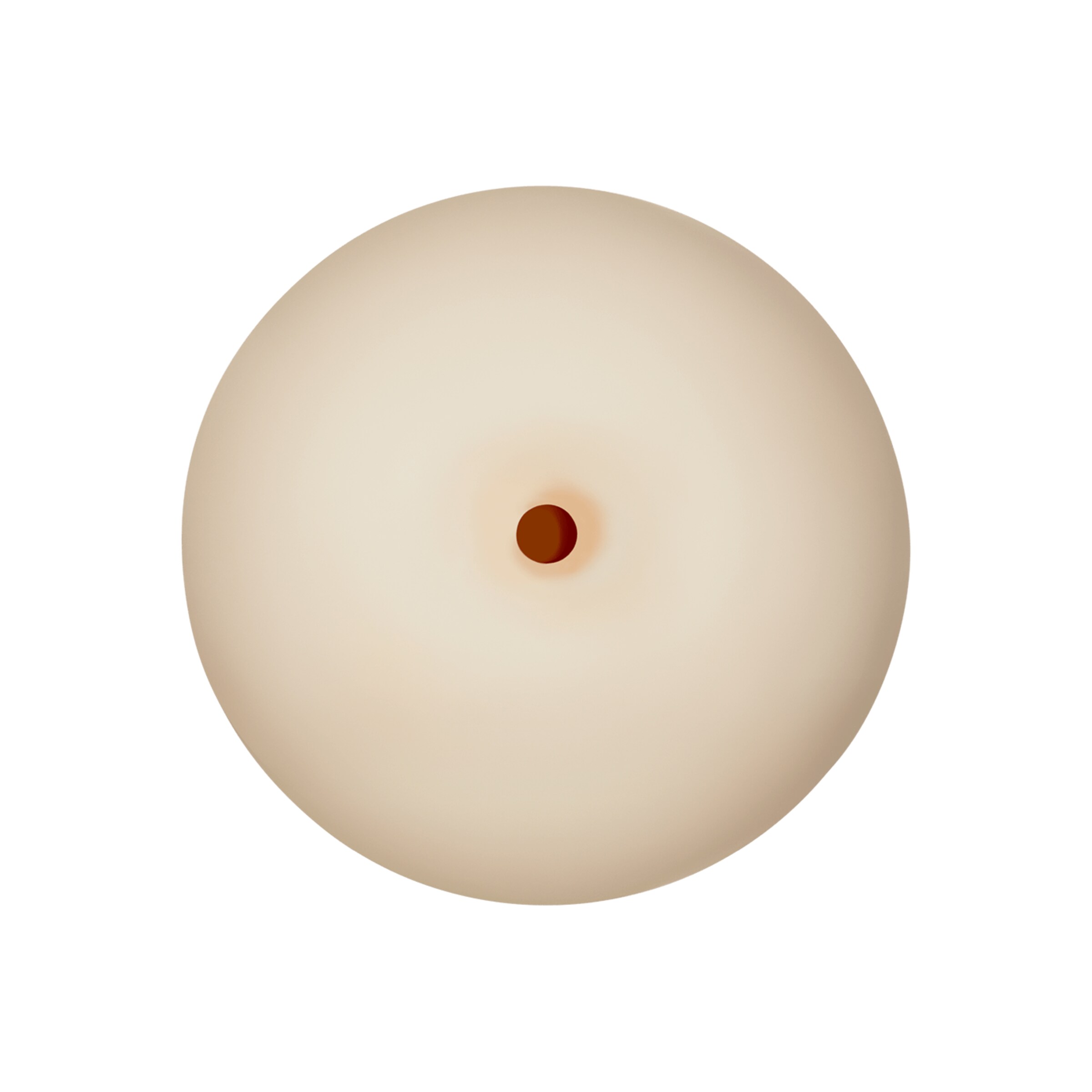 masturbateur-pour-seins-antidérapant-10-cm-Naturel clair-3