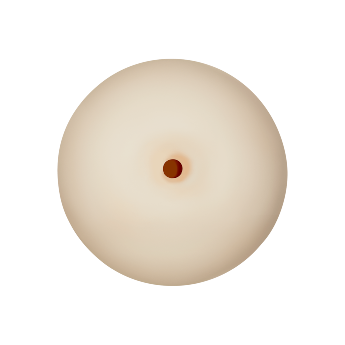 masturbateur-pour-seins-antidérapant-10-cm-Naturel clair-3