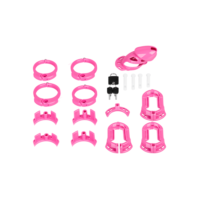 chastity-standard-Rose-3