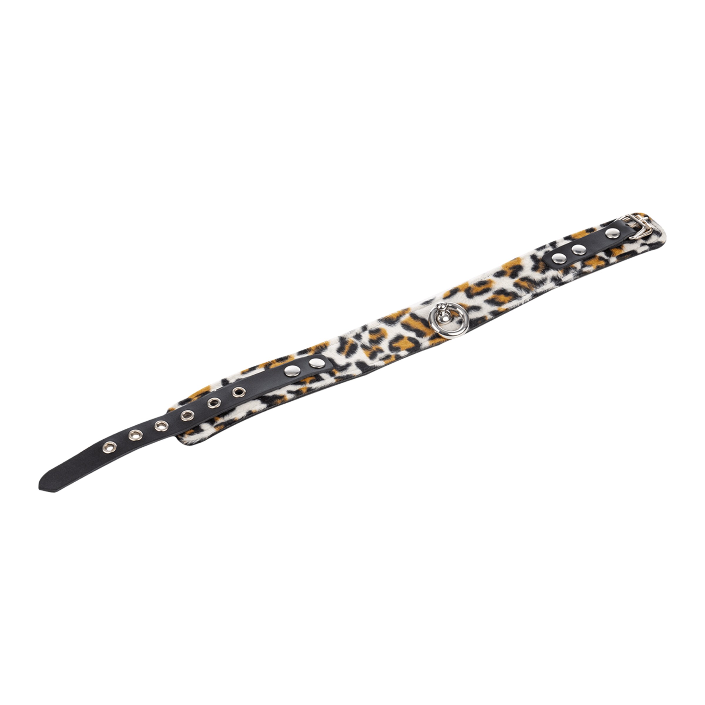 leren-halsband-met-o-ring-Luipaard-4