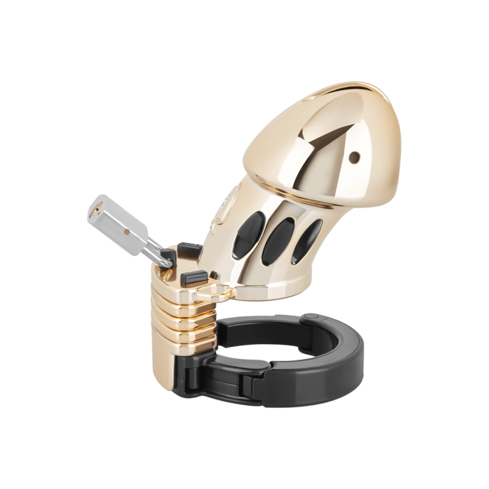 pubic-enemy-no.-1-10-5-cm-Noir-Or-2