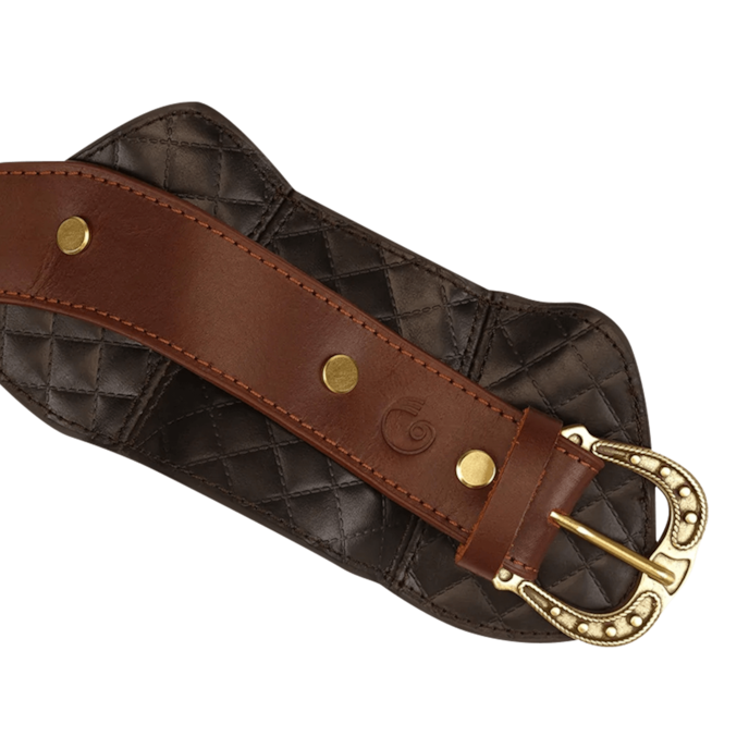 collier-en-cuir-avec-laisse-Brun-Noir-Or-3