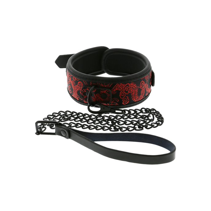 collar-&-leash-Rot-Schwarz-1