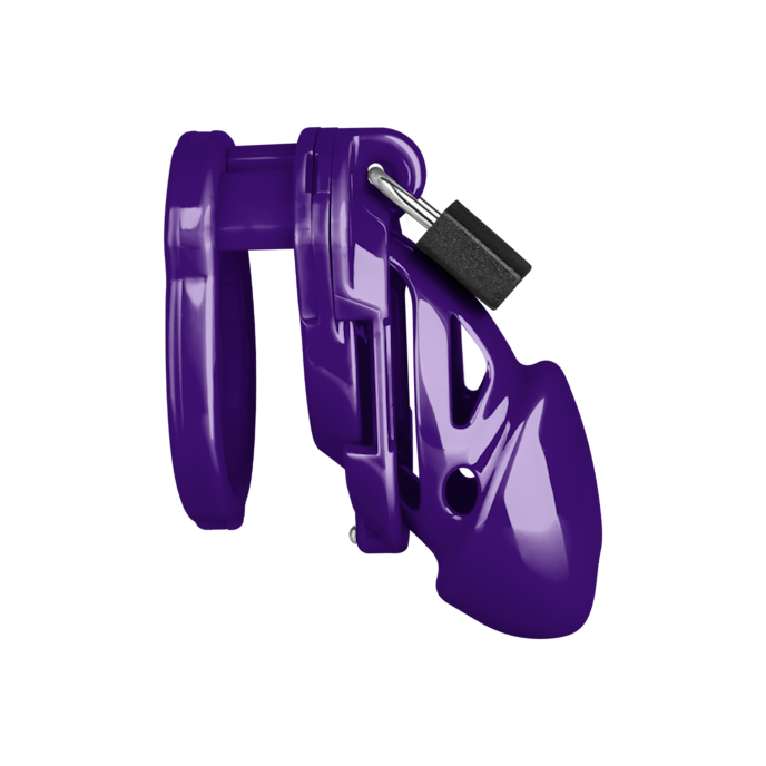 chastity-standard-Violett-2