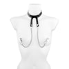 nippelklemmen-mit-halsband-Schwarz-Silber-2