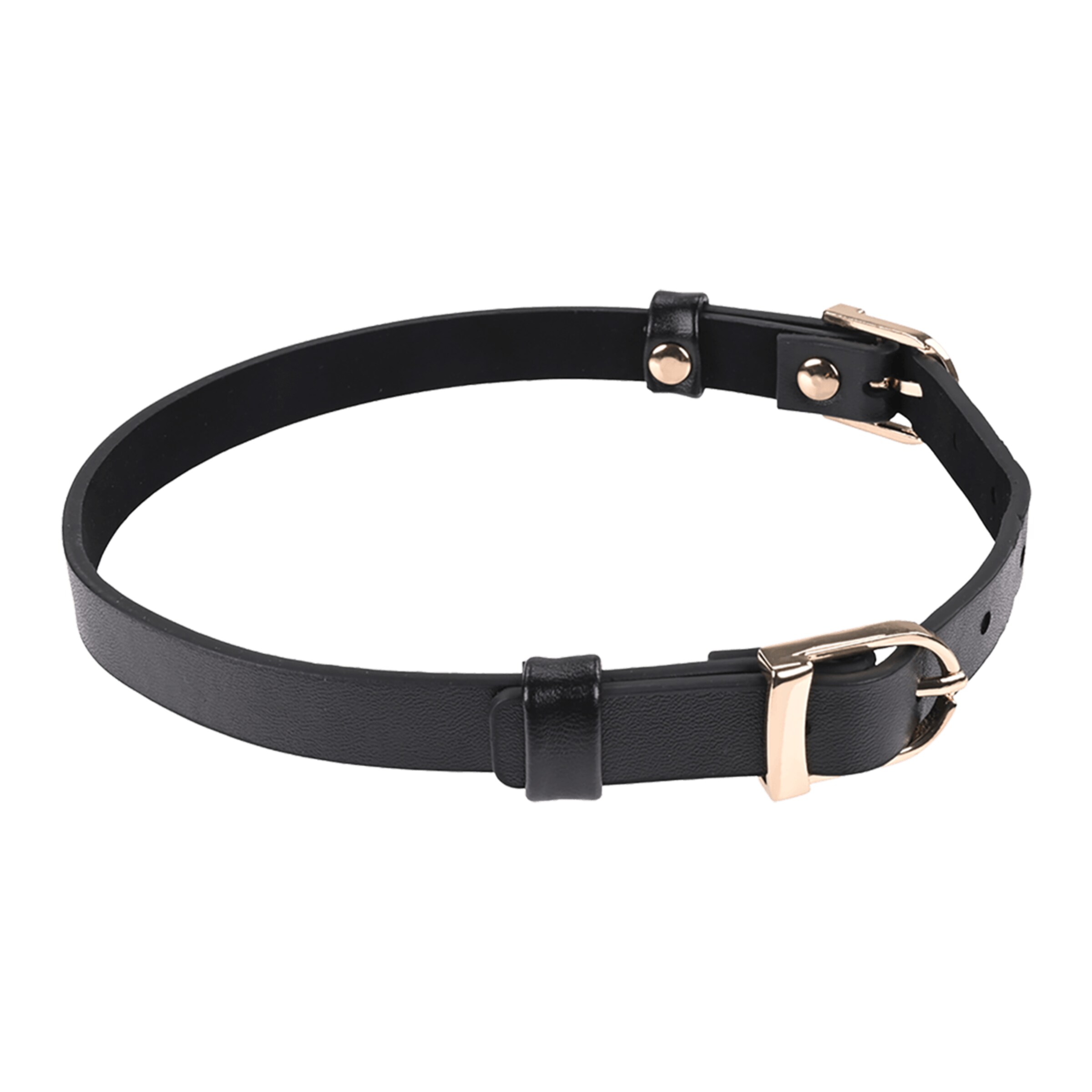 sex-and-mischief---double-buckle-day-collar-Zwart-2