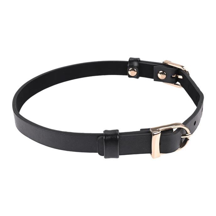 sex-and-mischief---double-buckle-day-collar-Zwart-2