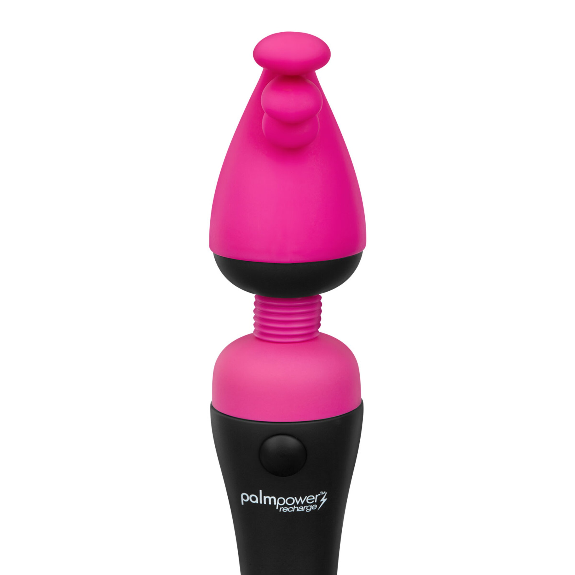 palmpleasure-2[nbhy]-parties-Rose-6