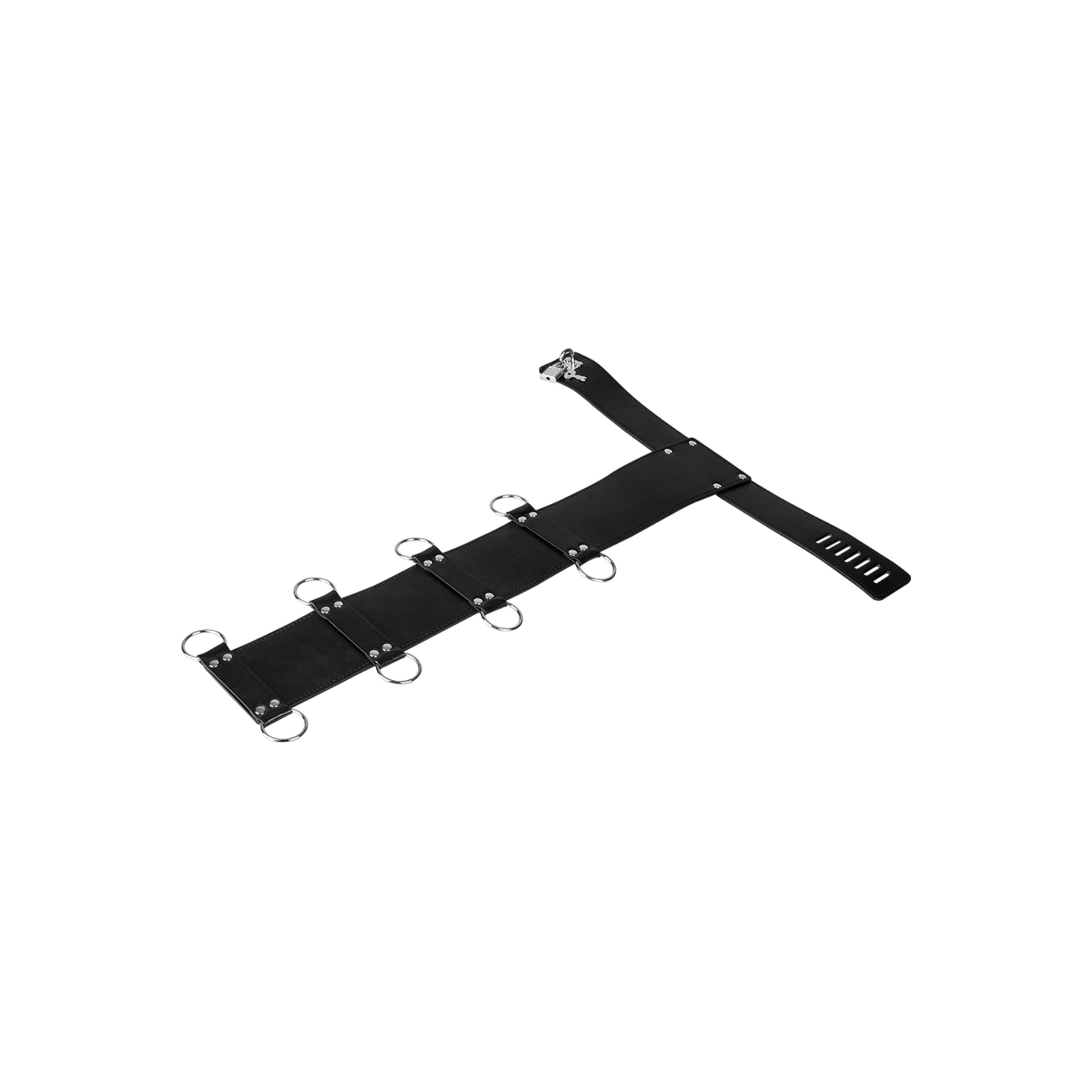 harnais-de-bondage-polyvalent-9-pièces-Argent-Noir-5