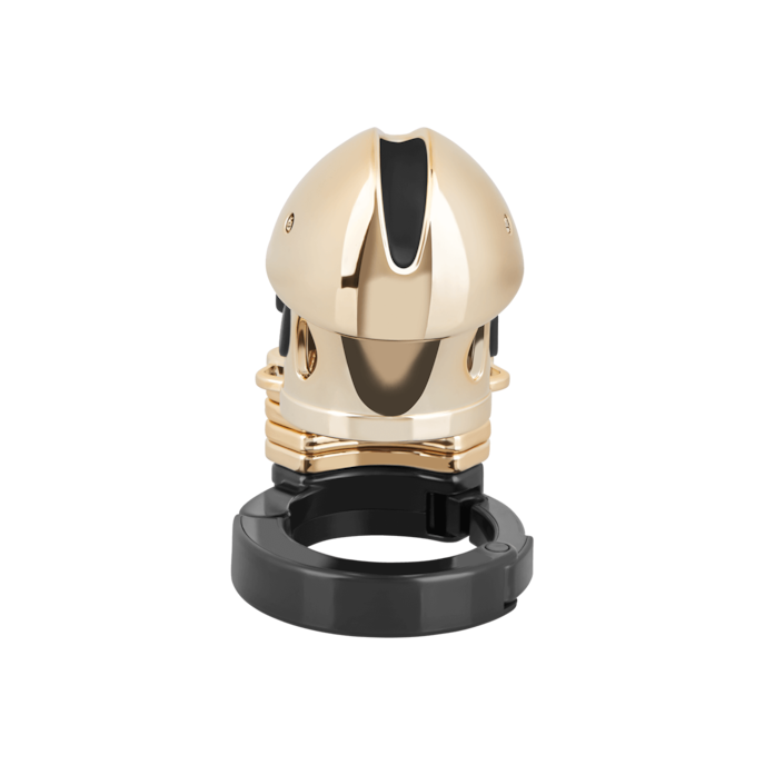 pubic-enemy-no.-1-10-5-cm-Noir-Or-4