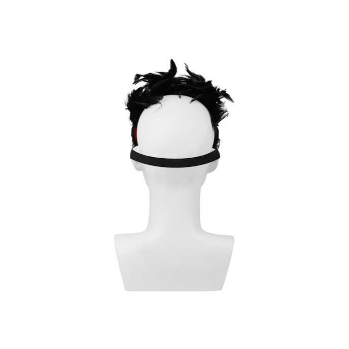 verleidelijk-masker-met-veren-Rot-Schwarz-4
