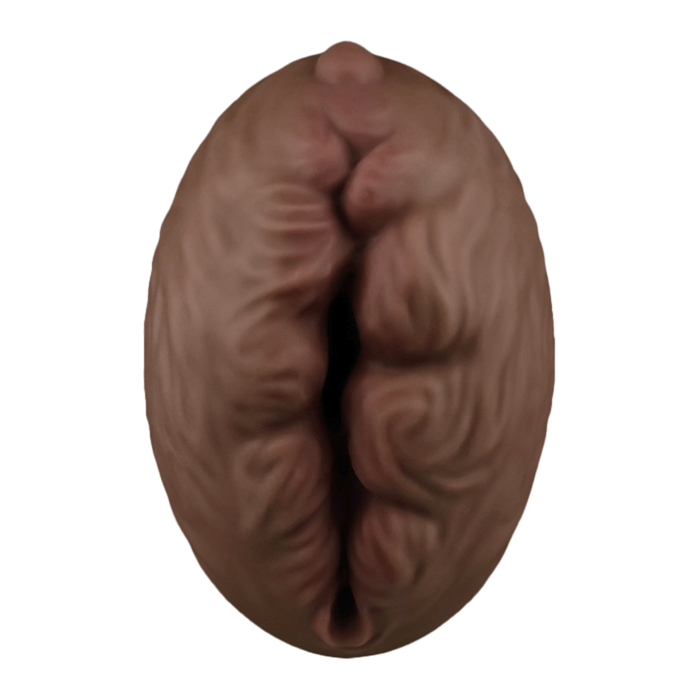 aliens-pie-3-23-cm-Natur-dunkel-3