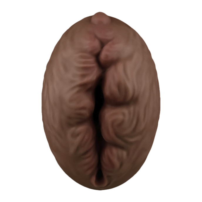 aliens-pie-3-23-cm-Natuurlijk donker-3