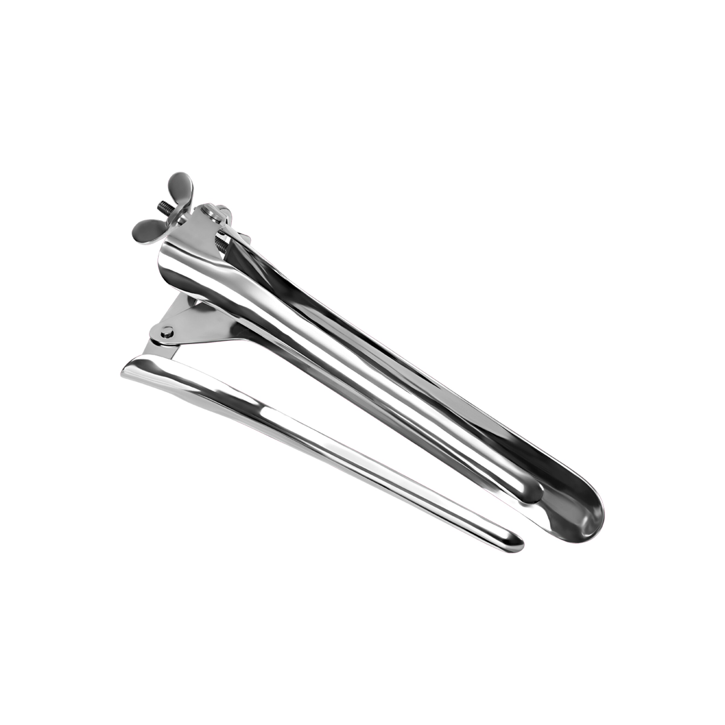 extra-groot-roestvrijstalen-speculum-Zilver-5