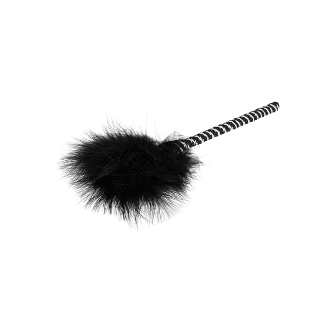 éveilleur-de-plumes-élégant-Blanc-Noir-2