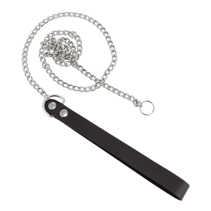 laisse-en-métal-avec-boucle-Argent-Noir-1