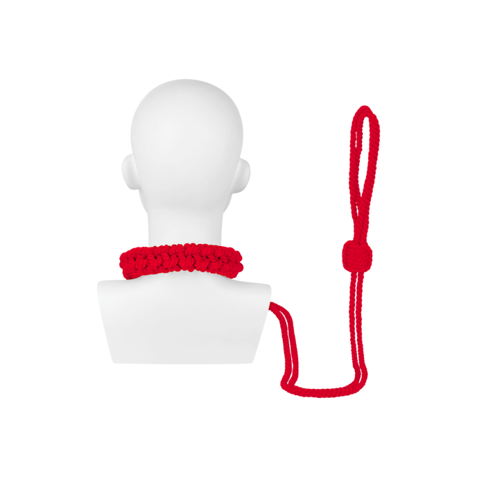 halsband-inclusief-riem-Rood-2