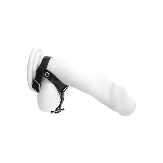 penis--en-hodengurt-van-leer-Zwart-2