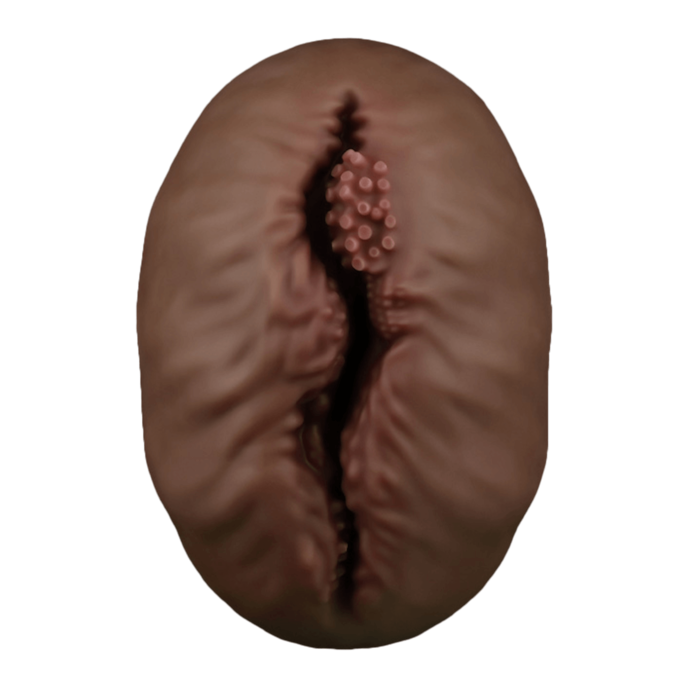 aliens-pie-1-23-cm-Naturel foncé-3