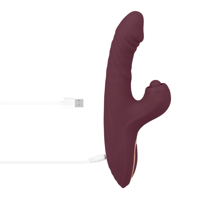 rabbit-vibrator-hot-vibes-24-3-cm-Bordeaux-7