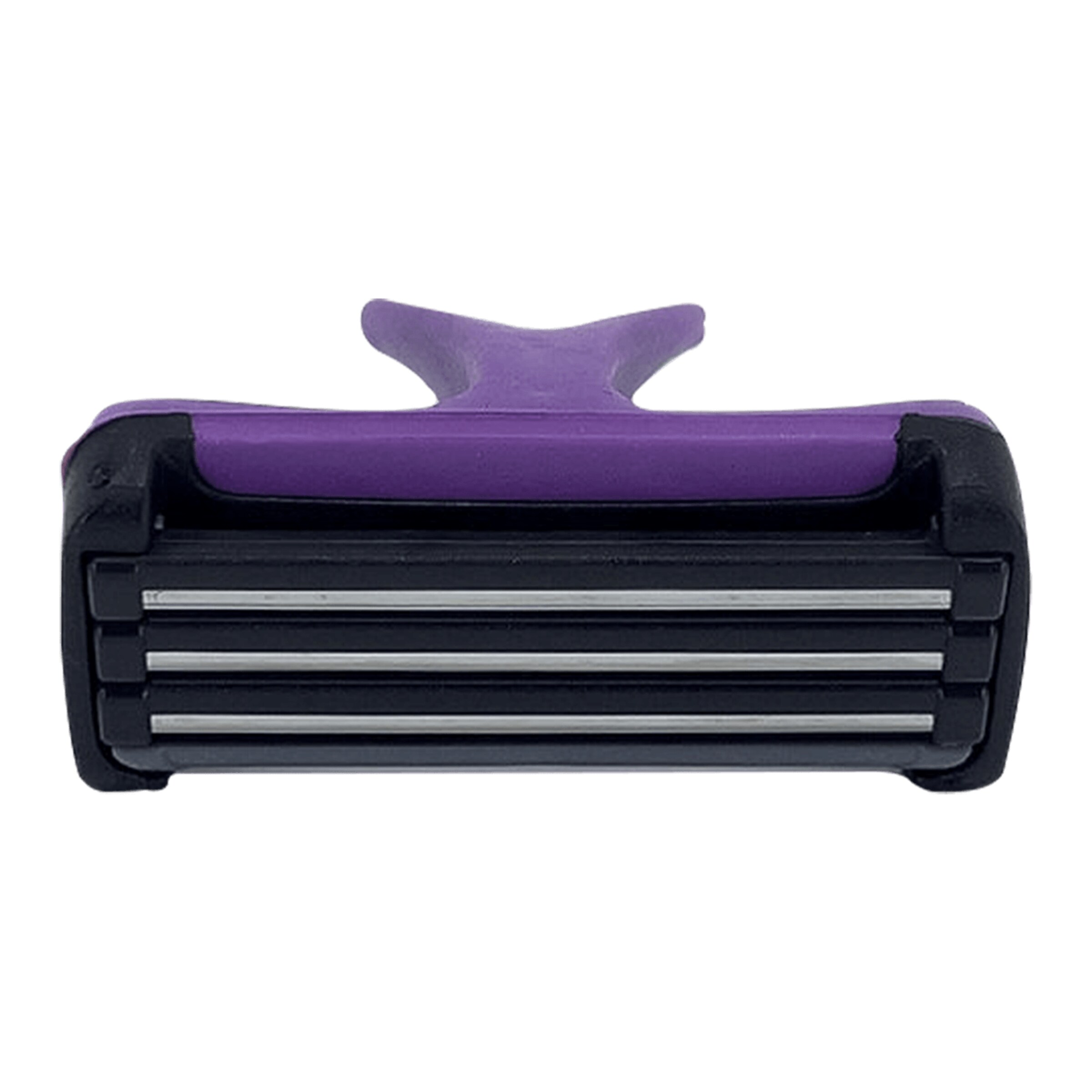 beatrice-g-shaver-Lila-2