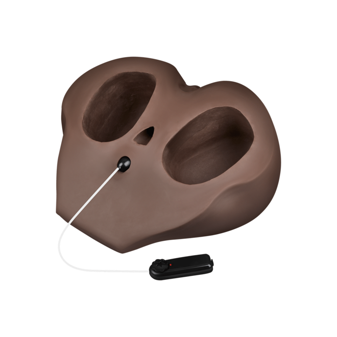 hot-chocolate---sweet-rose-36-cm-Naturel foncé-5