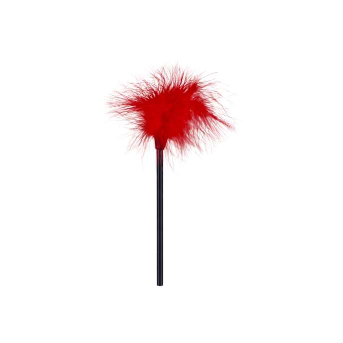 ensemble-bdsm-polyvalent-11-pièces-Noir-Rouge-8