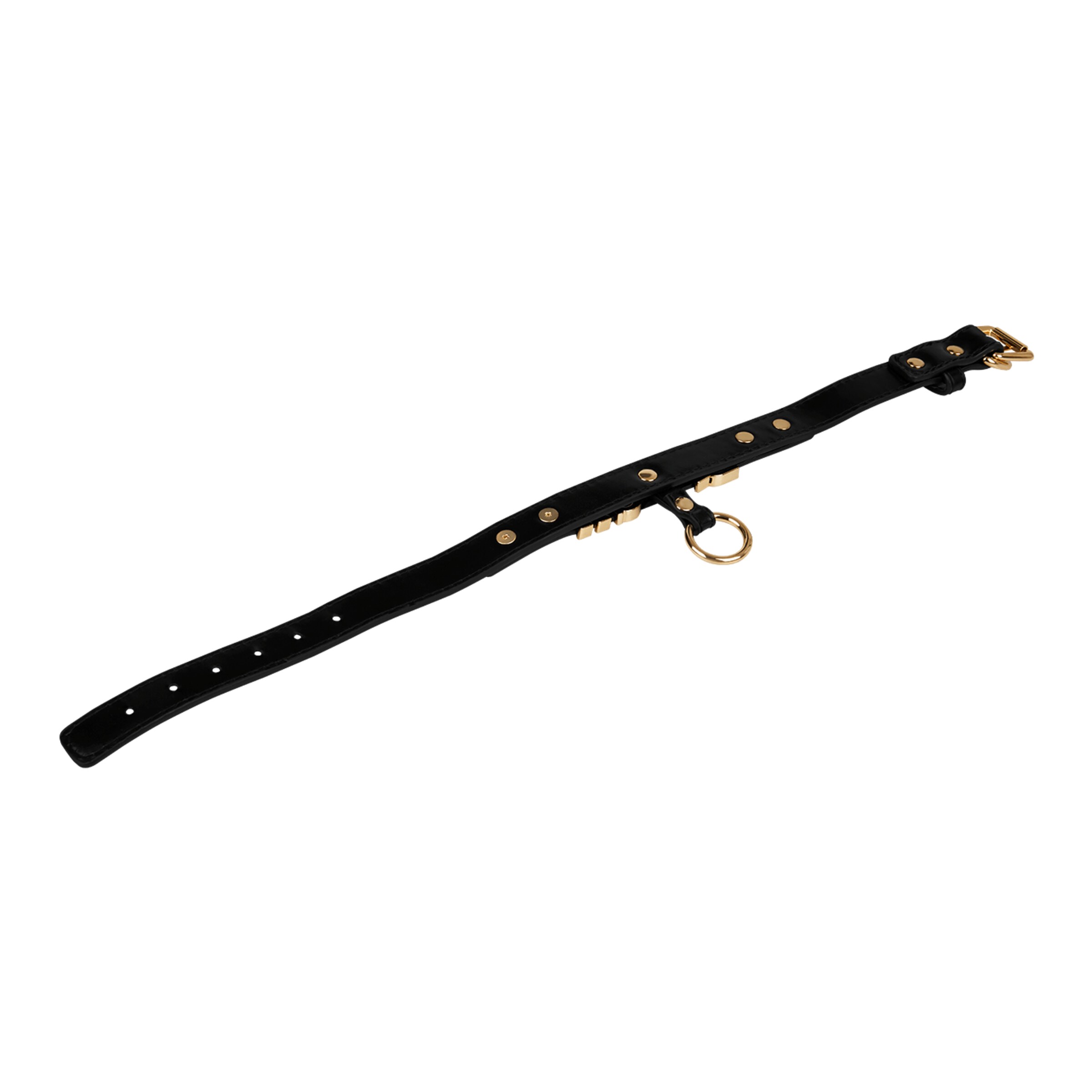 bitch[nbhy]halsband-im-lederlook-Gold-Schwarz-5