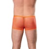 amorable---fishnet-shorts-Orange-2