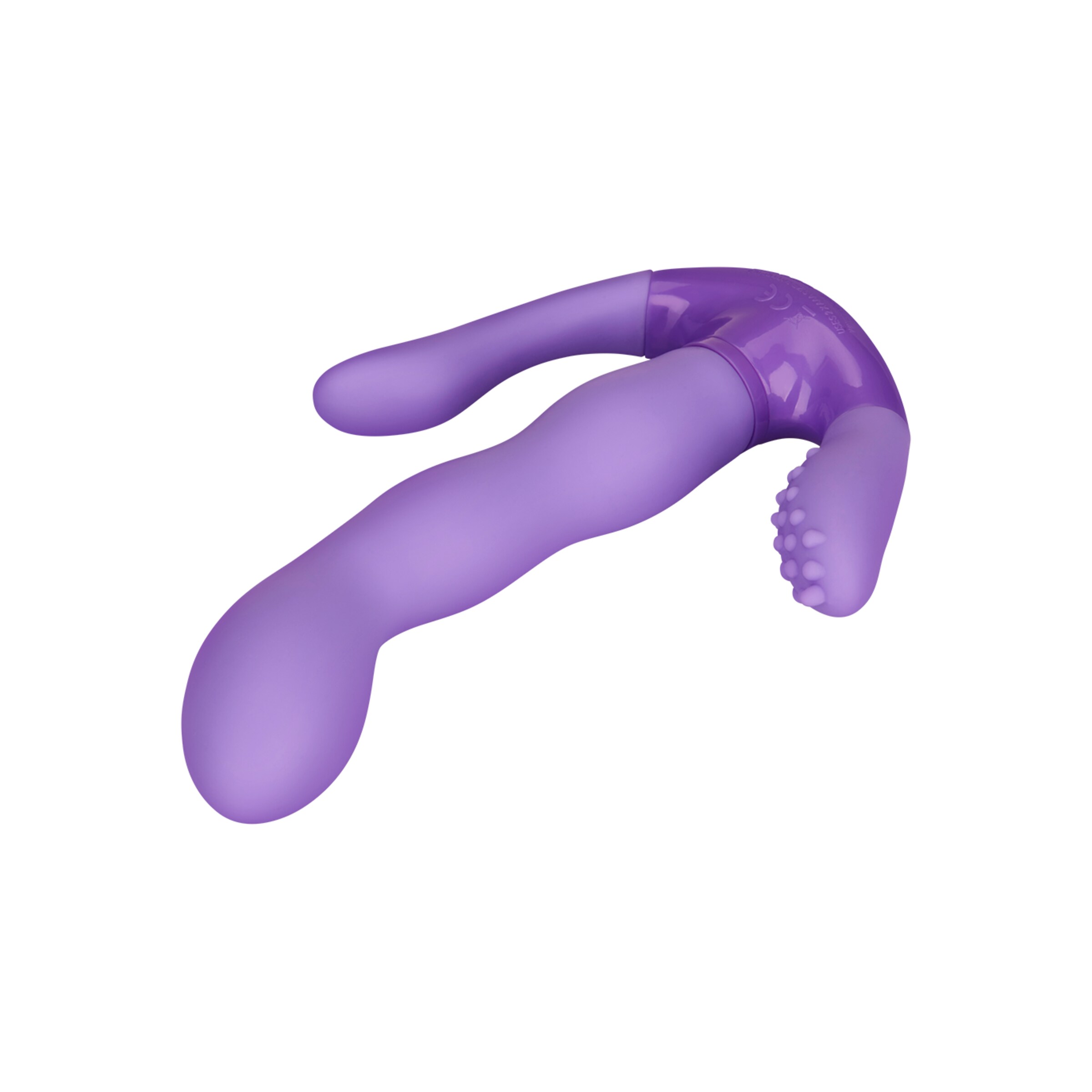 proposition-g-17-cm-Paars-3