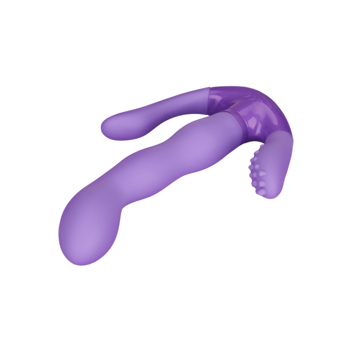 proposition-g-17-cm-Paars-3