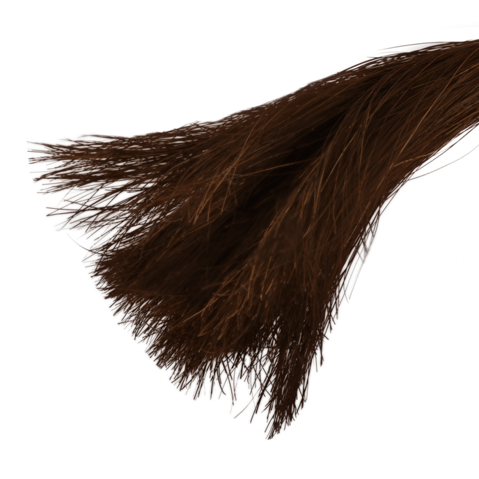 fouet-en-crin-de-cheval-Brun-Noir-3