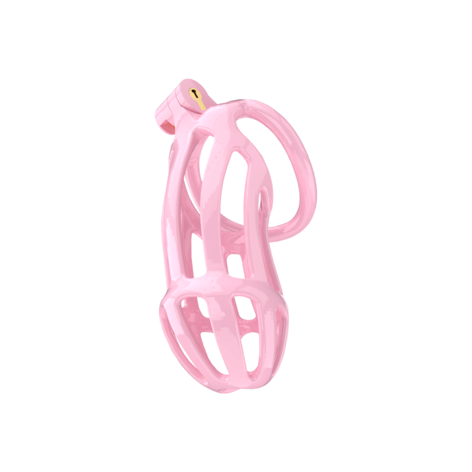 p-cage---pc02-taille-l-10-5-cm-Rose-1