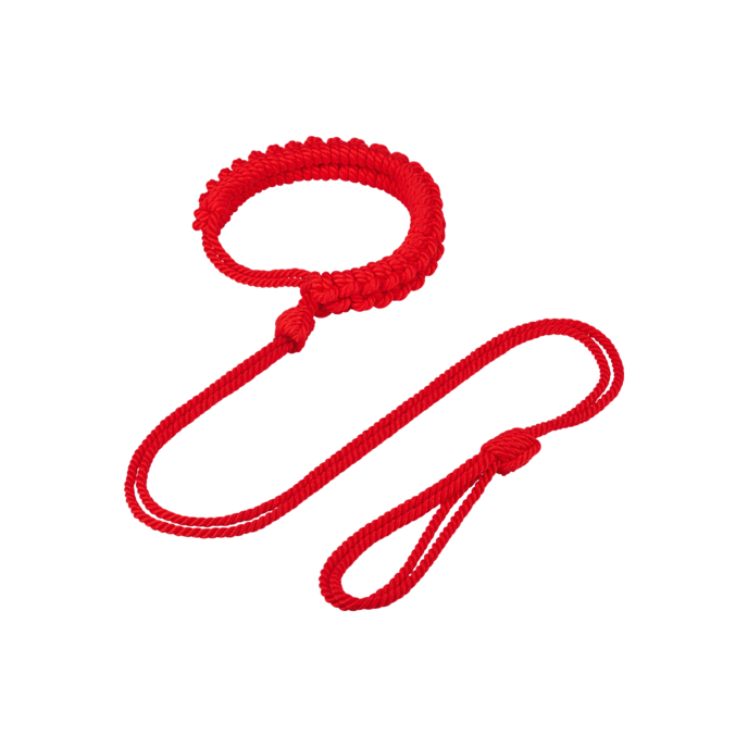 halsband-inclusief-riem-Rood-5