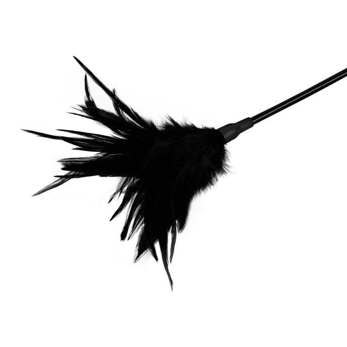 pluizige-verenkietelaar-48-cm-Zwart-5