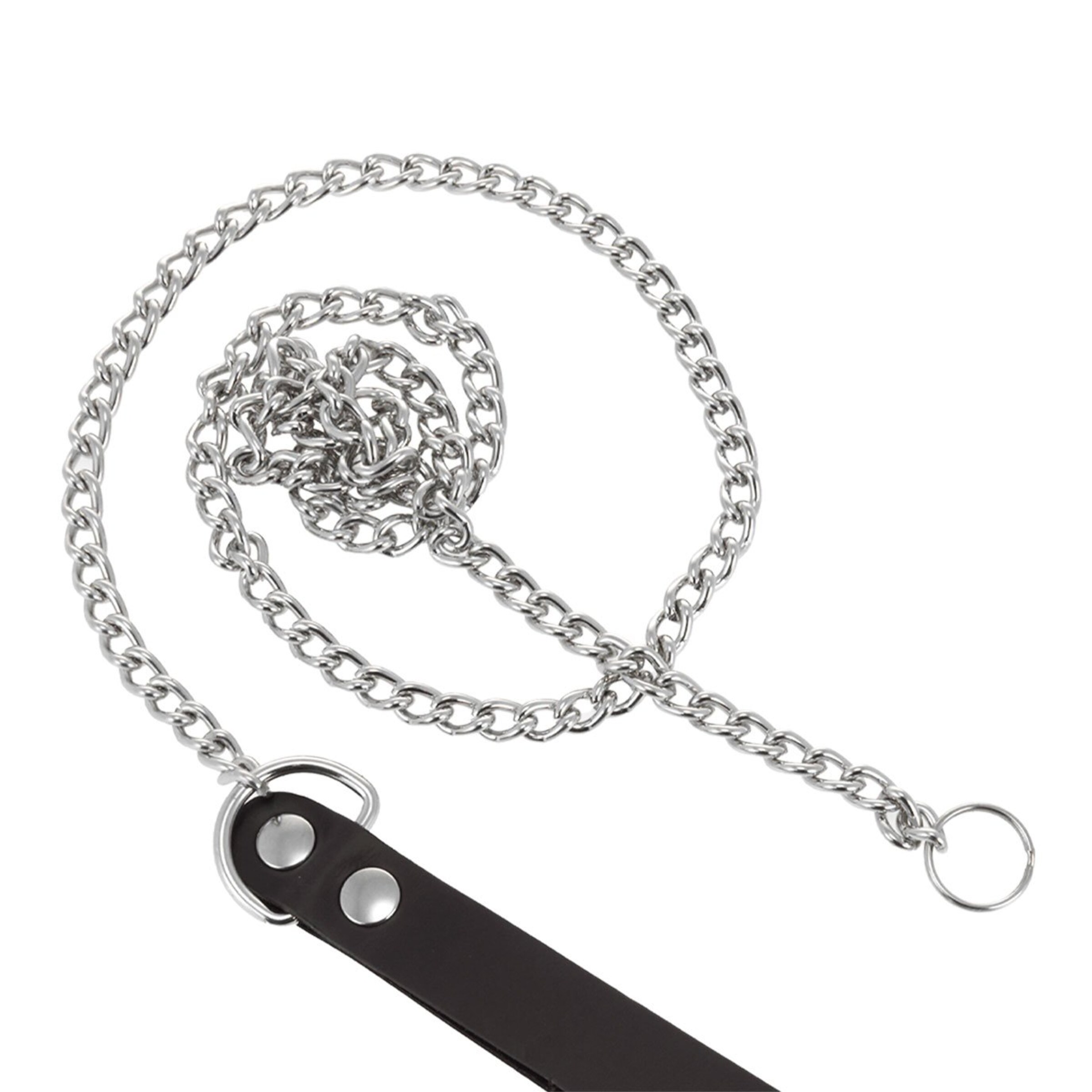 laisse-en-métal-avec-boucle-Argent-Noir-3