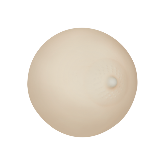 masturbateur-pour-seins-antidérapant-10-cm-Naturel clair-7