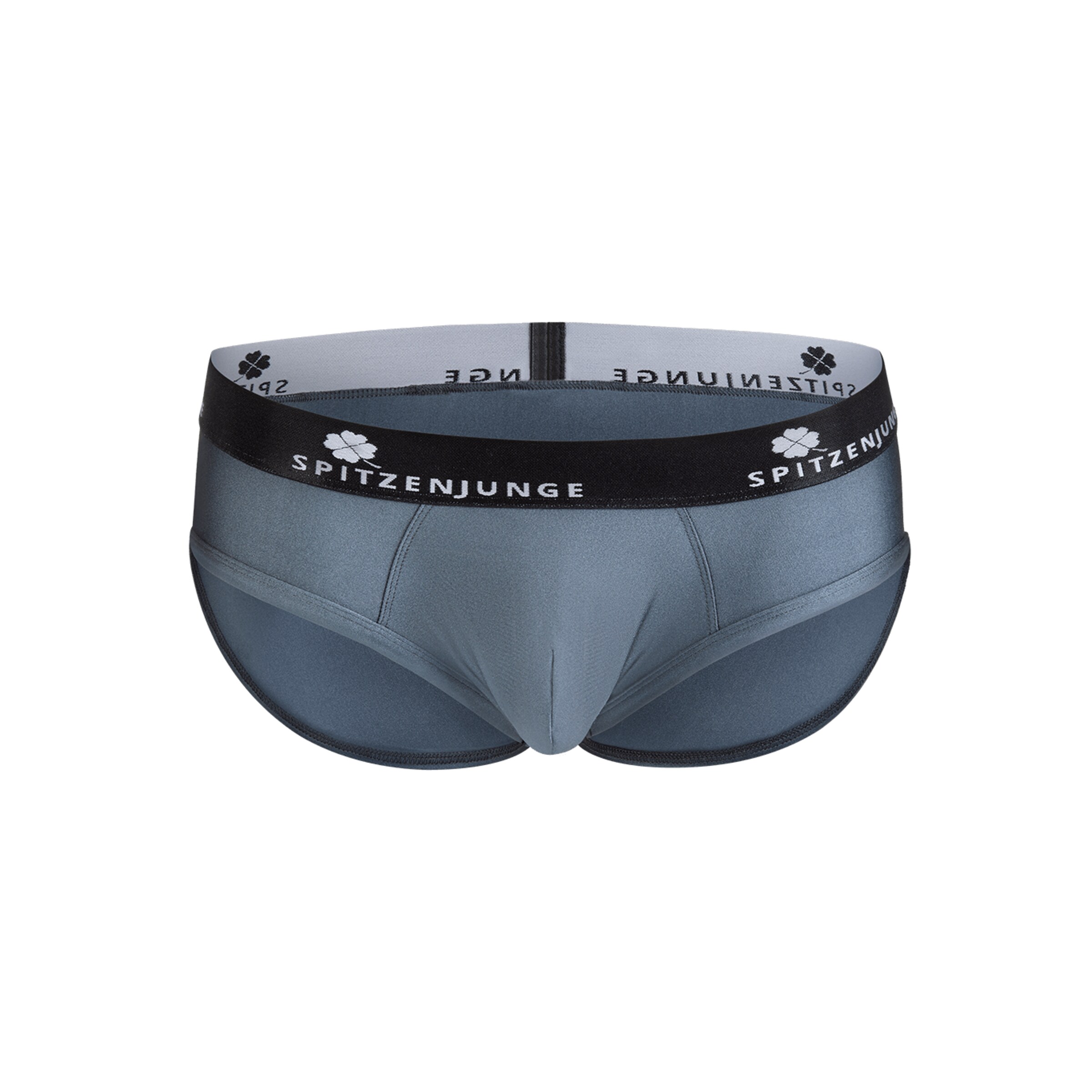 slip-in-glanz-optik-Grau-4