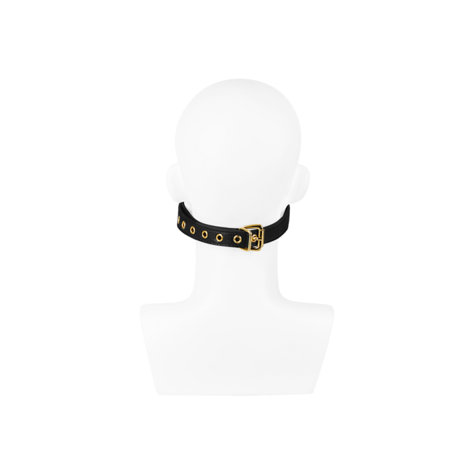 bâillon-avec-écarteur-de-bouche-Noir-Or-2