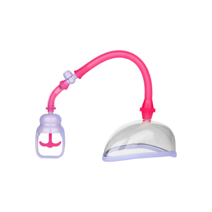 vagina-cup-Rose-Transparent-Violet-1