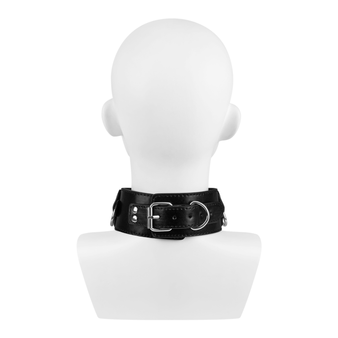 vielseitiges-halsband-mit-leine-Schwarz-3