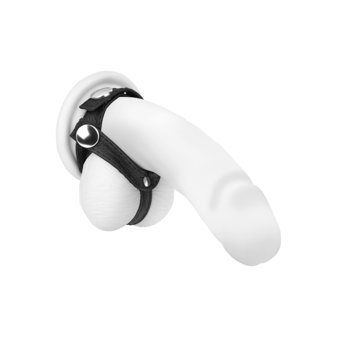 manchon-pour-pénis-et-testicules-en-cuir-Noir-1